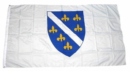 Flagge / Fahne Bosnien alt Hissflagge 90 x 150 cm
