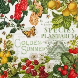 Home Fashion, Summer Fruits, Lunch-Servietten aufgefaltetes Maß 33 cm x 33 cm, im Viertelfalz, 20 Stück pro Packung