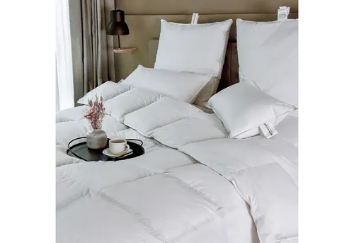 BEFA NATUR Daunenbettdecke - Kuschelige Premium-Winterdecke, 90% Daunenanteil, allergikergeeignet und made in Germany für besten Schlafkomfort.