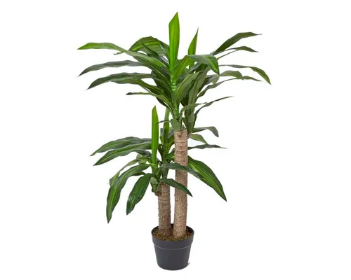 Homescapes Kunstbaum Dracaena Fragrans - 90 cm Kunstpflanze im Topf - Kunstbäume, pflegeleichte Dracaena Fragrans mit realistischer Optik, ideal für jeden Raum und bringt frisches Grün in Ihr Zuhause.
