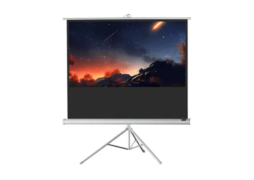 Celexon Stativ Economy 1090276 - Stativleinwand 244 x 138cm 16:9 - Beamer-Leinwände mit stufenloser Höhenverstellung und extrem breitem Sichtwinkel für brillante Präsentationen. Ideal für Heimkino und Business.