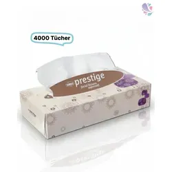 Blanc HYGIENIC Kosmetiktücher, 2-lagig, 4000 Tücher - Hygieneartikel, 2-lagig, aus 100% Zellstoff, hochweiß und FSC-zertifiziert für nachhaltige Nutzung. Ideal für Schulen, Büros und Gastronomie – sorgt für Hygiene und Komfort im Alltag.