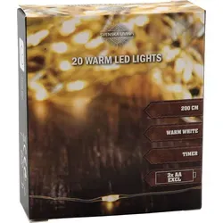 1.01 Drahtbeleuchtung 20 LED / 200cm / Timer