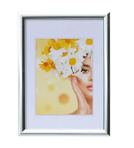 IDEAL TREND Kunststoffrahmen mit Klarglas Bilderrahmen PS-1 Frame Foto Collage Portraitrahmen Glasscheibe: Farbe: Silber | Format: 21x29,7 DIN A4