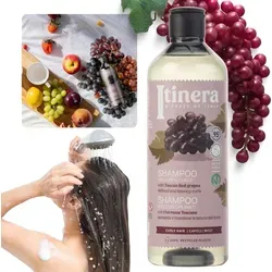 ITINERA Shampoo für lockiges Haar mit toskanischen roten Trauben – 370 ml x 5 Stück - ITINERA Shampoo für lockiges Haar, 370 ml x 5 Stück. Für definierte Locken und verbessertes Volumen, mit pflegenden Inhaltsstoffen. Hergestellt aus recyceltem Material, umweltfreundlich und vegan.