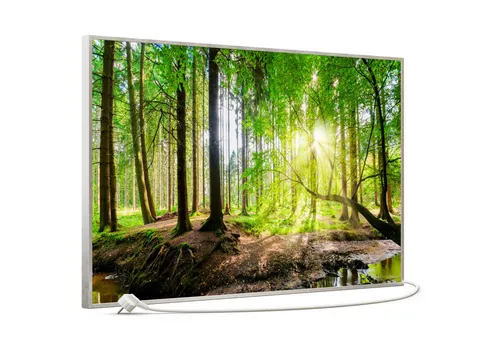 STEINFELD Heizsysteme Infrarotheizung, Bild, 600W 100x60cm, Inklusive Thermostat, viele Motive