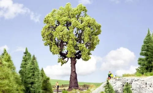 NOCH 21761 H0 Eiche 19 cm - Landschaftsbau - Landschaftsbau mit realistischen Eichen, ideal für Spur H0 Modelleisenbahnen. Perfekt für die Gestaltung lebendiger Szenen in Ihrem Modellbau.