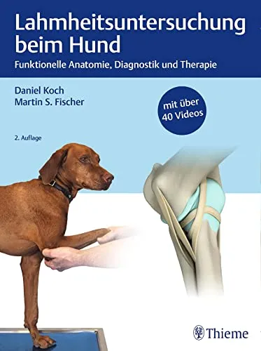 Lahmheitsuntersuchung beim Hund - Allgemeine Tiermedizin zur präzisen Diagnose von Bewegungsproblemen und Schmerzlinderung bei Ihrem Hund.
