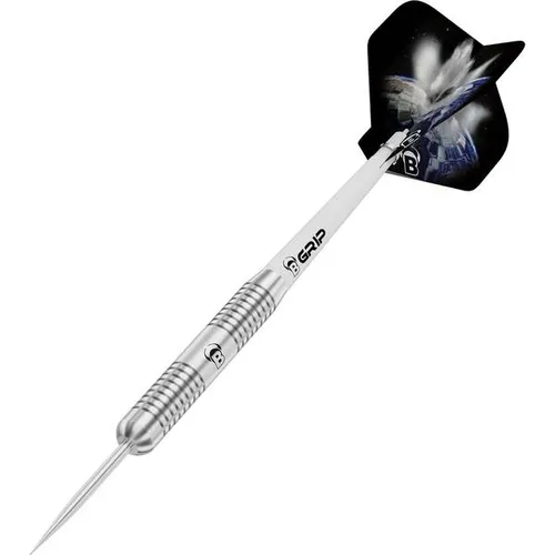 BULLS BULL'S Dartpfeil Meteor MT1 Steel Dart – Tungsten-Qualität - Hochwertiger Tungsten-Dartpfeil für Einsteiger, mit 80% Tungsten und verschiedenen Gewichten. Der schlanke MT1 bietet optimalen Grip und kommt im praktischen Cone Case mit speziellen Flights.