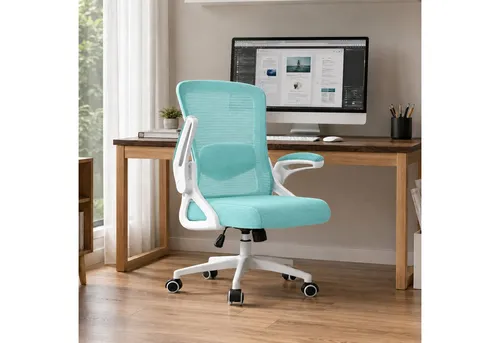 Hoolamyie Ergonomischer Bürostuhl mit Lendenstütze und klappbaren Armlehnen