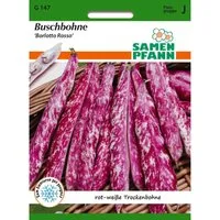 SAMEN PFANN Buschbohne Borlotto Rosso Trockenbohne