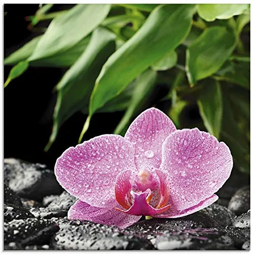ARTland Wanddeko Glasbilder Wandbild Glas Bild einteilig 50x50 cm Quadratisch Natur Asien Botanik Blumen Orchidee Steine Zen Entspannung Pink T5OQ