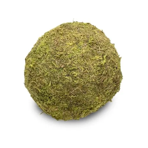 Pflanzen Grün von NaDeco