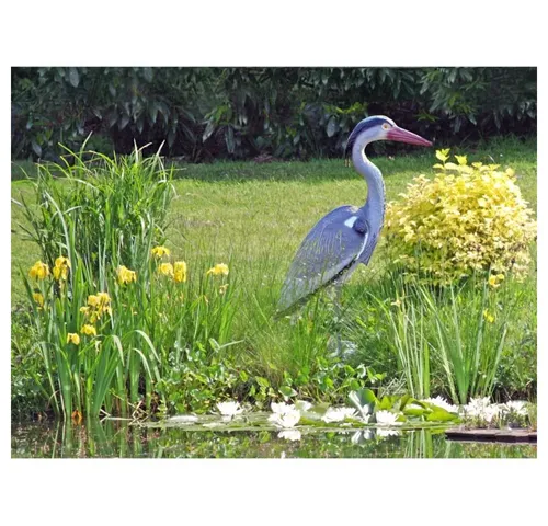 GartenHero Vogelattrappe Fischreiher - Schreckfigur für Teich und Garten - Tierattrappen - Detaillierte, wetterfeste Fischreiher-Figur, die Vögel fernhält und Ihren Gartenteich schützt. Flexibel aufstellbar mit Beinen oder Erdspieß.
