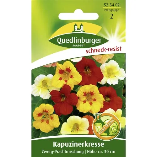 Kapuzinerkresse, Zwerg-Prachtmischung