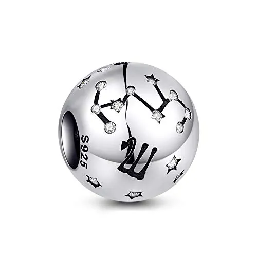 NINGAN die Zwillinge 12 Sternzeichen Geburtstag Anhänger – 925 Sterlingsilber Anhänger für Armband & Halskette – Ideale Geburtsgeschenke für Frauen & Freundinnen