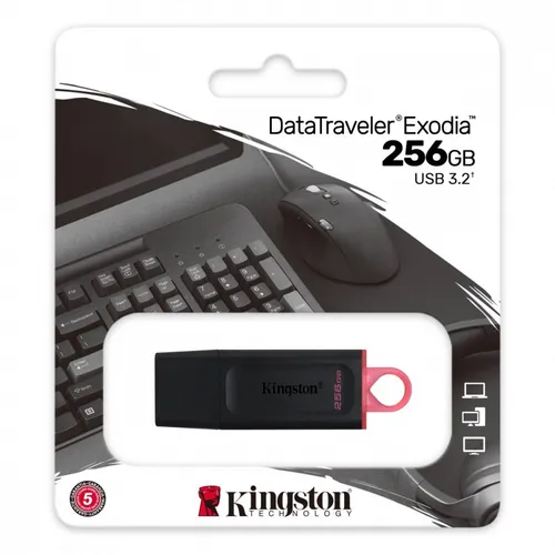 Kingston 256 GB DataTraveler Exodia - Hochgeschwindigkeits-USB-Stick USB 3.2 Gen1, bis zu 10x schnellere Übertragungen für große Datenmengen