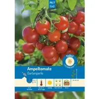 Pabst Keimkraft Ampeltomate Kleinfrüchtig & Aromatisch Gartenperle Saatgut