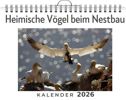 Emma Werner | Heimische Vögel beim Nestbau | Kalender | Deutsch | 2026