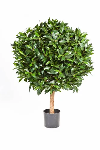 artplants Kunstbaum Lorbeer Kugel Tiberius, Echtstamm, Früchte, 40cm, Ø 30cm