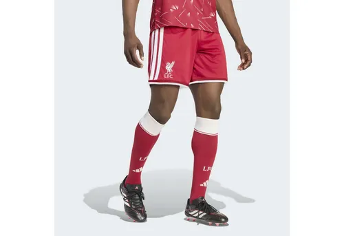 adidas Performance Shorts FC LIVERPOOL 26/27 HEIMSHORTS (1-tlg)
