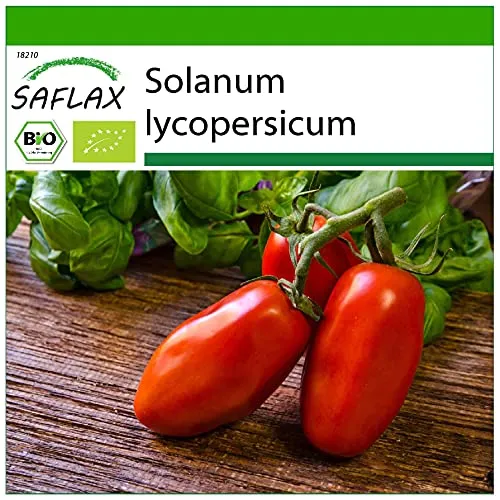 SAFLAX - BIO - Tomate - San Marzano - 15 Samen - Solanum lycopersicum