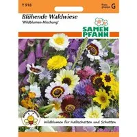 SAMEN PFANN Blühende Waldwiese