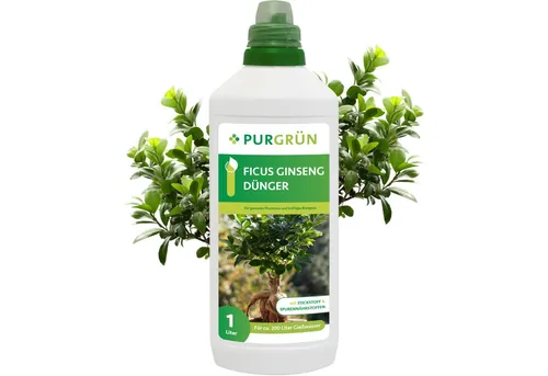Purgrün Ficus Ginseng Dünger 1L von Purgrün