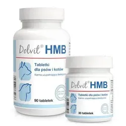 Dolvit HMB 90 Tabletten