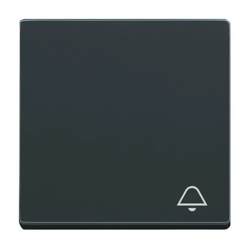 Busch-Jaeger 2520 KI-81 Wippe 1-fach mit Symbol 