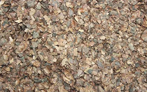 1000Kräuter Brombeerblätter geschnitten Brombeerblättertee Heilpflanze Rubus fructicosus (100g)