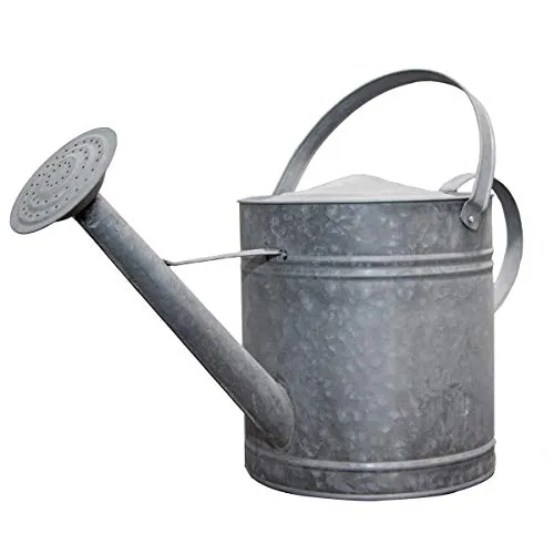 Antikas XL Gießkanne aus Zink, Silbergrau von Antikas