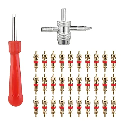JUHONNZ Reifenventil Werkzeug Set,32 PCS Reifenventilentferner Reifenventil Kernwerkzeug Autoreifenventil Reparaturwerkzeugsatz 4-Wege Ventilwerkzeug mit 30 Ventilkernen für Auto Fahrrad