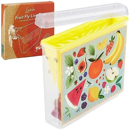Fruchtfliegen Lebendfalle: ökologische Fruchtfliegenfalle für Küche und Innenbereich – ohne Insektizide – Obstfliegenfalle Küche – spülmaschinenfest – Fruit Fly Live Trap – Fliegenfalle von Lavodia