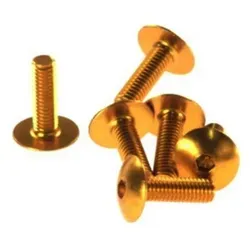 Produktbild Verkleidungsschraubensatz M6X20 (6 Stk.) Goldfarben (Ta620Or) - Gold