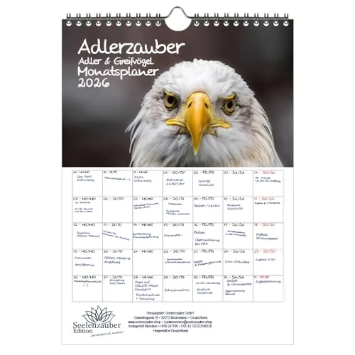 Adlerzauber Adler & Greifvögel Planer DIN A4 Kalender für 2026 - Seelenzauber