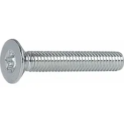 Reyher Senkschraube ISO 14581 M5 x 10 T25 - Hochwertige Senkschrauben mit Innensechsrund, ideal für präzise Anwendungen. Hergestellt in Deutschland, mit einer Verpackungseinheit von 2000 Stück, perfekt für Handwerker und Industriebetriebe.