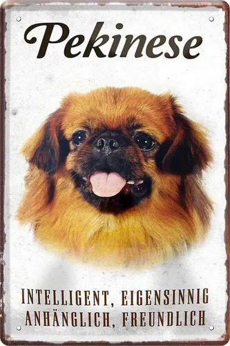 WOGEKA ART Metallbild Hunde-Rassen Steckbrief 20 x 30 cm Blechschild Haustier Hund Deko, Pekinese