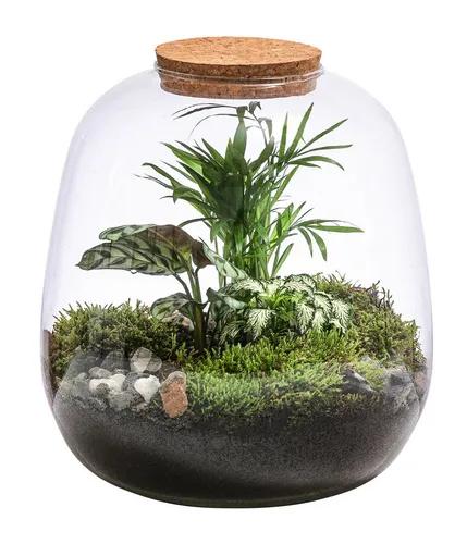 Dehner Zimmerpflanze Terrarium DIY Flaschengarten Mini-Urwald, 8-teilig - Gestalte deinen eigenen Mini-Urwald mit diesem 8-teiligen Set! Enthält 3 Pflanzen und alles für eine ansprechende Dekoration. Ideal für helle Standorte ohne direkte Sonne.