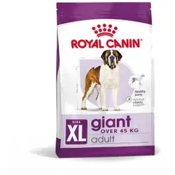 Royal Canin Giant Adult Hundefutter 4 kg - Hundefutter für große Rassen, unterstützt die Gesundheit von Gelenken und Muskeln, ideal für ausgewachsene Hunde über 45 kg.