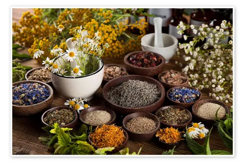 Posterlounge Poster Editors Choice, Kleine Kräuterküche, Küche Fotografie