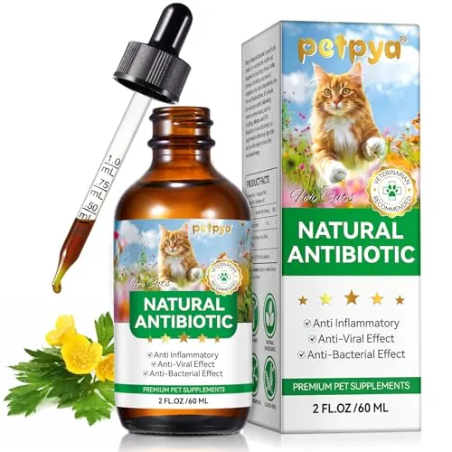 Katzen Antibiotika für Infektionen 60ml – Natürliche Unterstützung für Ihre Katze