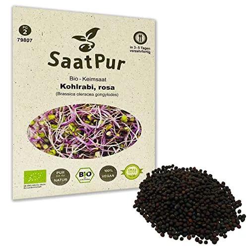 Kohlrabi (rosa) BIO Keimsprossen von SaatPur - Sprossen Keimsaat, Microgreens - 20g