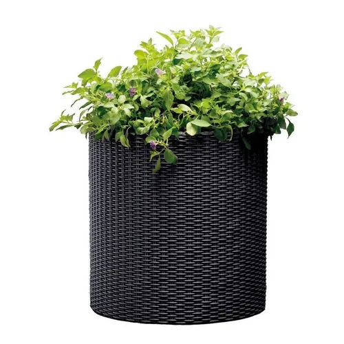 Keter Pflanz-Zylinder M 35x37cm - Blumenkübel aus witterungsbeständigem Kunststoff, ideal für Innen- und Außenbereich, mit einer Kapazität von 18 Litern und modernem anthrazitfarbenem Design.