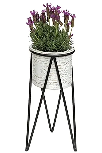 DanDiBo Blumenhocker S 50 cm - Eleganter Pflanzenständer - Moderner Blumenhocker aus Metall, ideal für stilvolle Präsentationen von Pflanzen in Wohnräumen, Büros oder Cafés. Robuste Konstruktion mit max. 20 kg Tragfähigkeit.