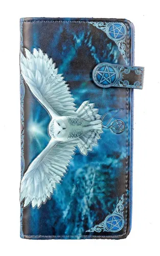 Geldbörse mit Eule - Awaken Your Magic | Mehrfarbiger Geldbeutel von Anne Stokes - Damen-Geldbörsen mit einzigartigem Eulen-Design, gefertigt aus geprägtem Kunstleder. Praktisch mit 12 Kartenfächern und Reißverschluss für Kleingeld.