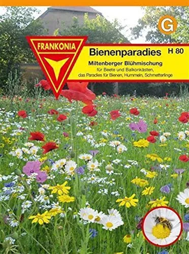 FRANKONIA Bienenparadies, Miltenberger Blühmischung - Blumenmischung Blumen-Samen Saatgut