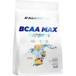 ALL NUTRITION BCAA 2:1:1 Pulver 1000g Aminosäure BCAAs Anabol Aminosäuren 1 Kg Pulver, 3750 mg BCAA pro Portion