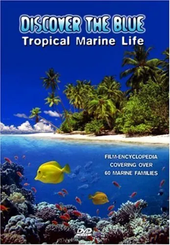 Discover The Blue - Tropische Meerestiere