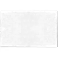 Bestlivings Tierdecke Hundedecke Mikrofaser 60 x 80 cm Weiß